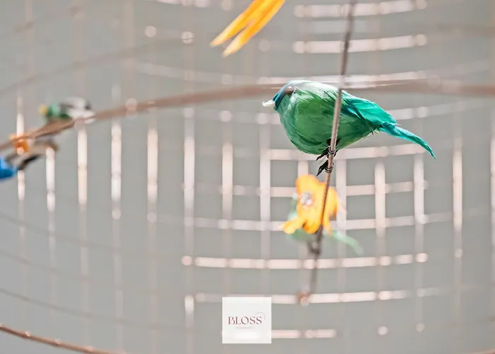 Cloud 16 By Bloss Ostende